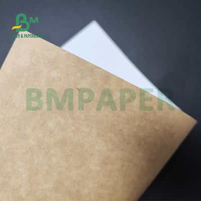 250gsm 300gsm C1S Kraft detrás cubrió al tablero a dos caras para la caja fuerte de la comida de la caja de la ensalada
