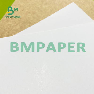 Rollo de papel 200g 300g de Kraft del congelador revestido blanco de la parte posterior para los Overpacks de la comida congelada