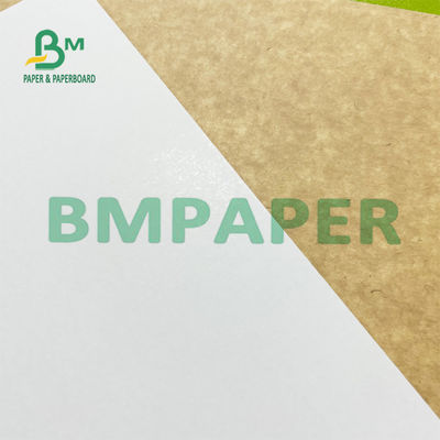 Rollo de papel 200g 300g de Kraft del congelador revestido blanco de la parte posterior para los Overpacks de la comida congelada