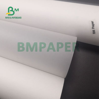 rollo de papel blanco translúcido de trazado 80gsm para la pintura 20&quot; del bosquejo x 50yards