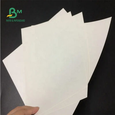 La Virgen Kraft blanco empapela el rollo 24 x 35 pulgadas 150gsm 170gsm 190gsm para las bolsas de papel