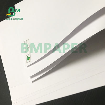 los buenos resultados de la impresión 300gsm compensaron la buena opacidad los 61cm los x 86cm de la garantía