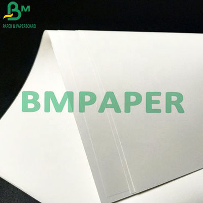 Libro Blanco resistente del rasgón sintético de la prenda impermeable 230um del ANIMAL DOMÉSTICO para la impresora de chorro de tinta