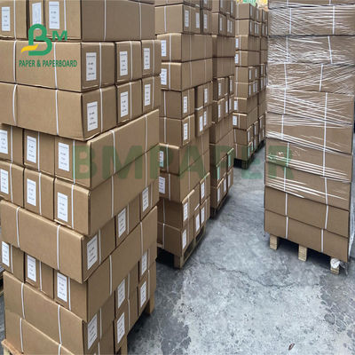 papel de trazador azul lateral de 80gsm uno cad para dirigir 610m m el x 150m