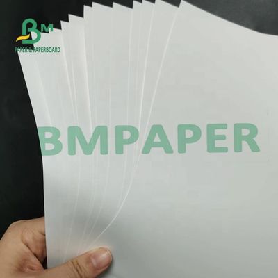 papel sintético no desgarrable Matte Surface For Maps de 180um PP
