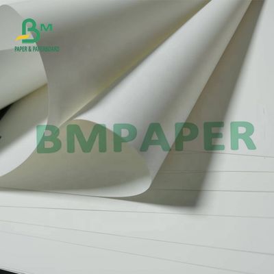 papel sintético no desgarrable Matte Surface For Maps de 180um PP