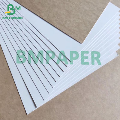 Parte posterior revestida blanca 325gsm de papel de Kraft del tablero del cartón plegable de la comida