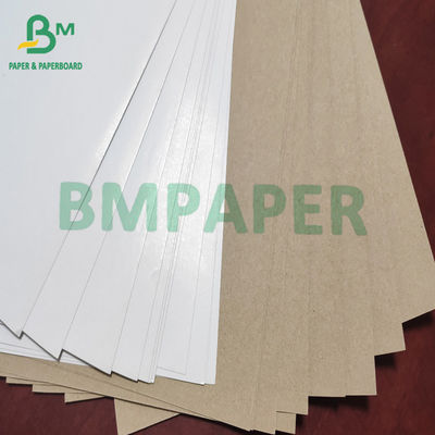 Papel blanco 140g - 200g de Clay Coated Kraft Liner Board del top para la caja del cartón