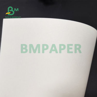 210gsm +15g PE laminó la cartulina para la categoría alimenticia de las tazas de papel 882m m