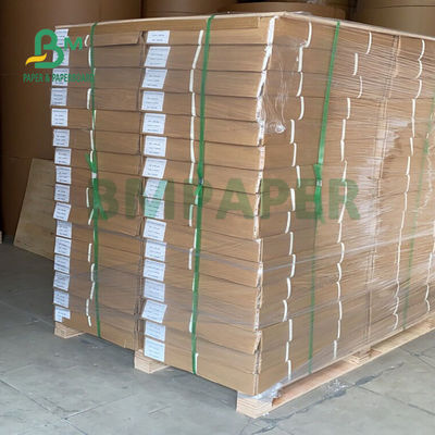 24&quot; rollo del papel de trazador del modelo del X.500 pie para el cad que imprime 80gsm