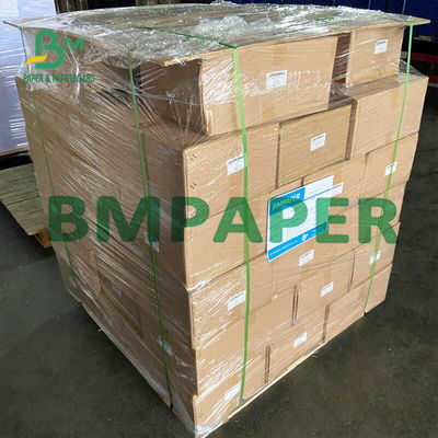 Impresora termal Paper Rolls BPA del recibo de 55 G/M libre para la posición