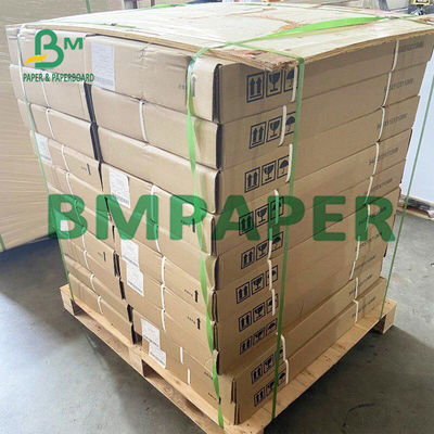 Impresora termal Paper Rolls BPA del recibo de 55 G/M libre para la posición