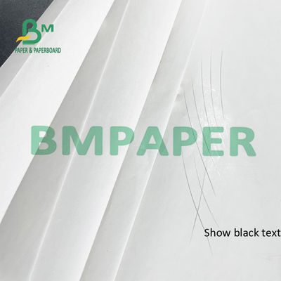 Impresora termal Paper Rolls BPA del recibo de 55 G/M libre para la posición