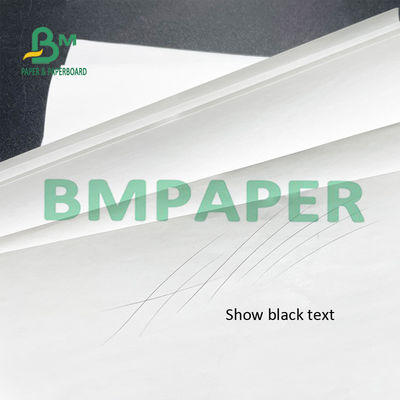 Impresora termal Paper Rolls BPA del recibo de 55 G/M libre para la posición