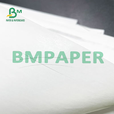 48 grado de Paper Roll 50 Rolls A de la impresora térmica del G/M para los sistemas de la posición