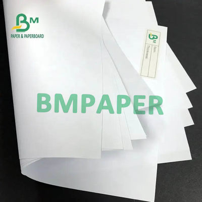 Rollo blanco 50gsm 53gsm 60gsm los 65cm de la garantía de la pulpa reciclable enorme el 100cm