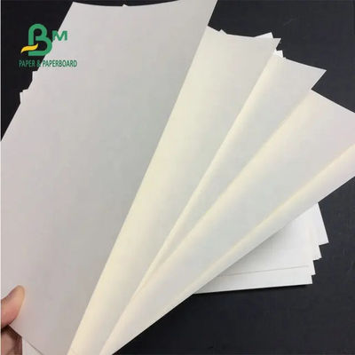 230g cubrió el papel material del polietileno de la acción de la taza de la prenda impermeable del PE para las tazas de papel