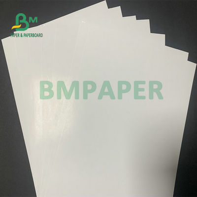 C2S Art Paper Board brillante 300gsm 350gsm para la impresión de la revista