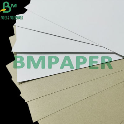 Tablero revestido a dos caras de empaquetado 300gsm con el rizo anti de Grey Back C1S