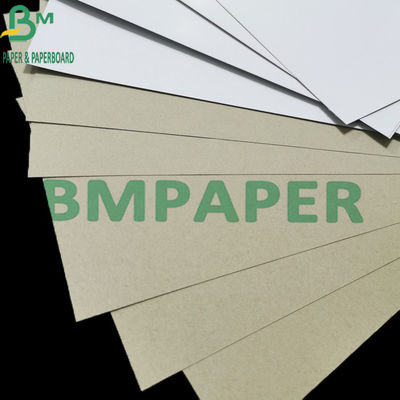 Tablero revestido a dos caras de empaquetado 300gsm con el rizo anti de Grey Back C1S