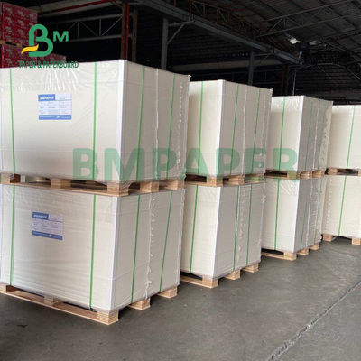 La categoría alimenticia 135gsm+10gsm PE cubrió el lustre de papel y a Matt Finish de la taza