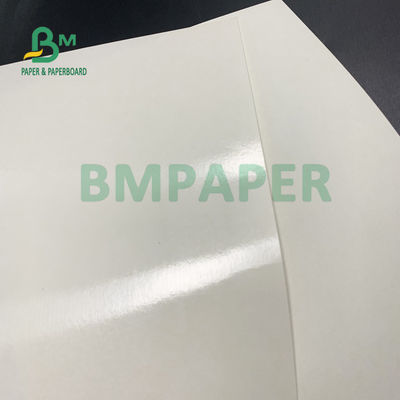 La categoría alimenticia 135gsm+10gsm PE cubrió el lustre de papel y a Matt Finish de la taza