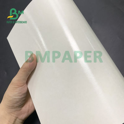 La categoría alimenticia 135gsm+10gsm PE cubrió el lustre de papel y a Matt Finish de la taza