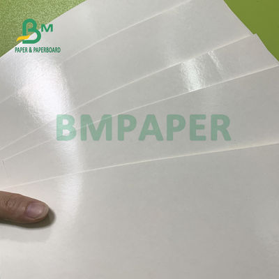 La categoría alimenticia 135gsm+10gsm PE cubrió el lustre de papel y a Matt Finish de la taza