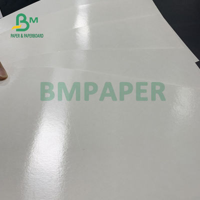 150gsm + 10gsm la comida PE seguro cubrió el papel bajo de la taza para beber