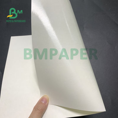150gsm + 10gsm la comida PE seguro cubrió el papel bajo de la taza para beber