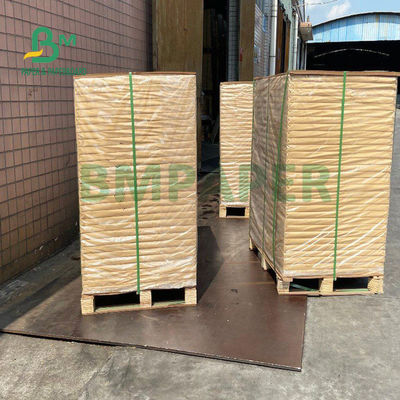 artículo de papel común 710m m x 900m m de la taza revestida del trabajo 150gsm+20gsm