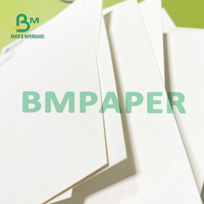 8,26 x 11,8 avanzan lentamente el papel altamente absorbente del papel secante para presionar las flores