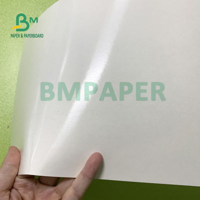 180gsm + 18gsm el solo lado PE cubrió prenda impermeable de las hojas del papel de la taza