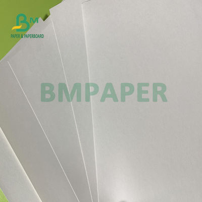 180gsm + 18gsm el solo lado PE cubrió prenda impermeable de las hojas del papel de la taza