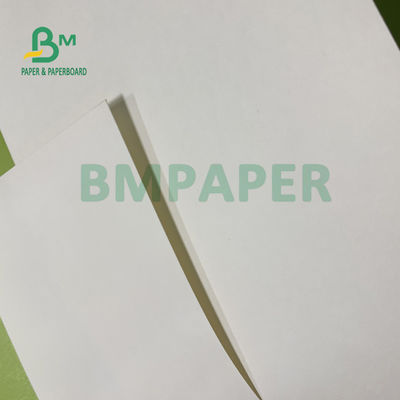 210gsm+15gsm la película de la taza PE cubrió el buen brillo de papel 615m m x 850m m