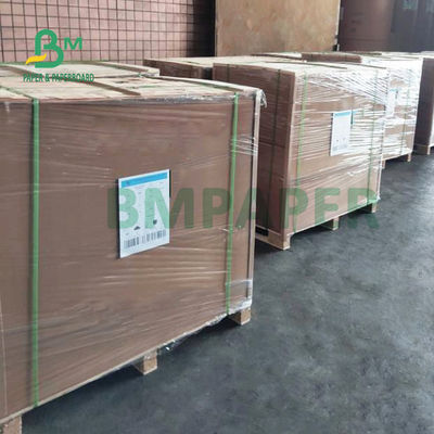 papel de envasado de alimentos 250gsm, papel de Brown Kraft para la comida Tray Folding Resistant 79 el x 109cm