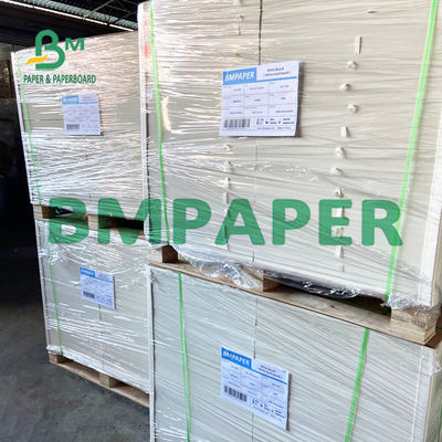240 tablero de papel de 250 G/M Polycoated Cupstock para las bandejas secas de la comida