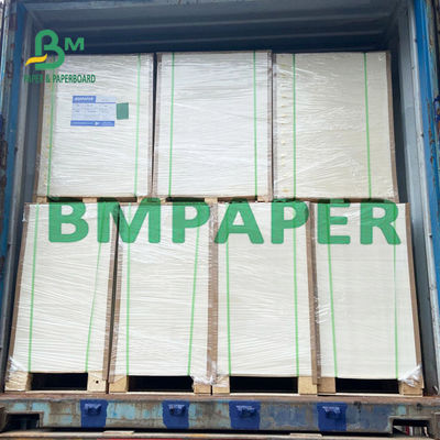 240 tablero de papel de 250 G/M Polycoated Cupstock para las bandejas secas de la comida