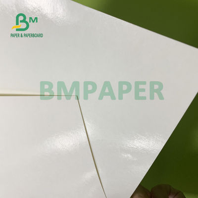 230gsm+15gsm la durabilidad PE cubrió el papel de la acción de la taza para el cuenco de sopa 560m m x 700m m