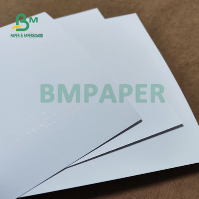 tiesura mate de 80# 100# C2S Art Paper For Company Manual 28 x 40inch buena