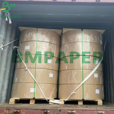 260g + 15g PE cubrieron el blanco natural común del tablero de papel de la taza para la taza de café