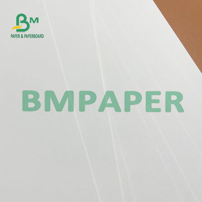 ideal blanco de papel de marfil del tablero de 275g 325g 700m m FBB para el correo directo