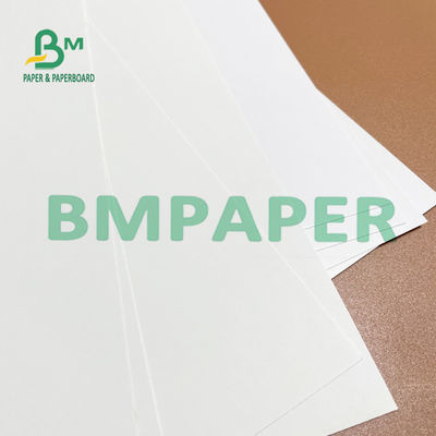 ideal blanco de papel de marfil del tablero de 275g 325g 700m m FBB para el correo directo