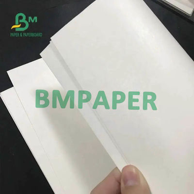 Rollo de papel de la acción blanca de la taza solo lado 200gsm + 15PE cubierto para la taza de papel