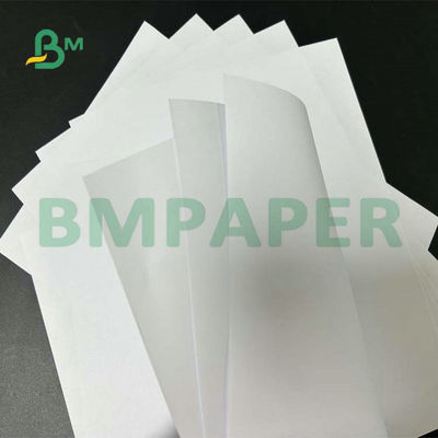 Formato amplio Woodfree sin recubrimiento 55gsm de papel 60gsm 65gsm para la impresión del texto de escuela