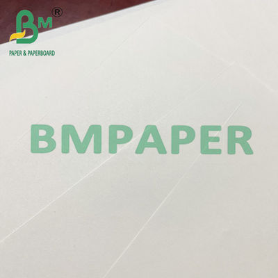 80 100 papel compensado beige de Woodfree de la hoja del rollo de 120 G/M para la impresión del libro