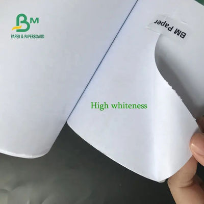 Papel de trazador cad Rolls cubierto blanco 5rolls por el cartón 80gsm 914m m X 50yards