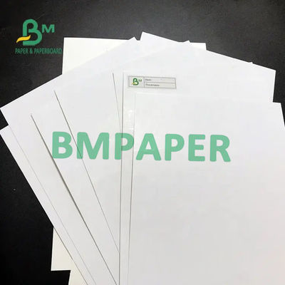 Blister SBS Papel Tablero Marfil C1S Hoja 275G 300G 320G 350G 400G 425G