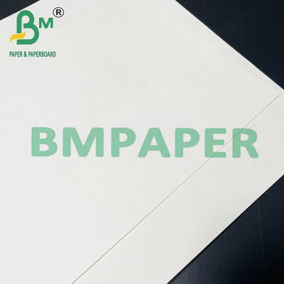 papel seguro de Cupstock de la comida de 190gsm 200gsm 210gsm para la comida caliente
