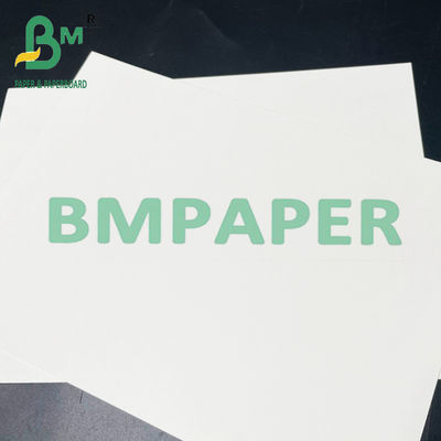 papel seguro de Cupstock de la comida de 190gsm 200gsm 210gsm para la comida caliente